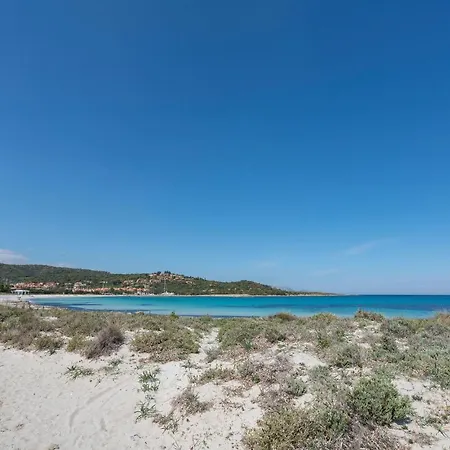 1 Bedroom Pet Friendly In *