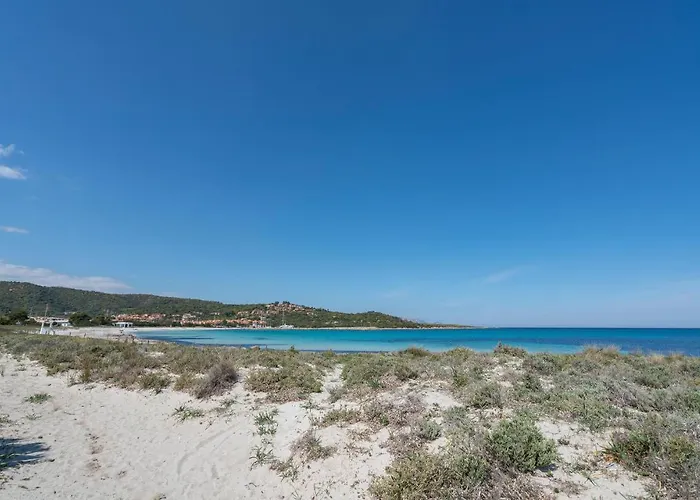 1 Bedroom Pet Friendly In *